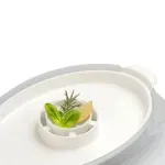E00000221