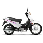 motobase--5-