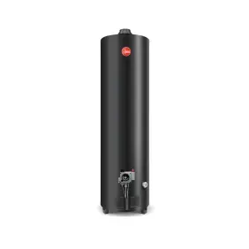 Termotanque Rheem gas natural 160lts pie conxexsup negro apg160nrh07