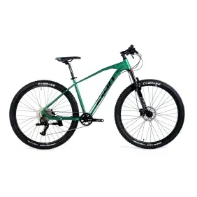 Bicicleta Mtb Zion Ovanta Verde R29