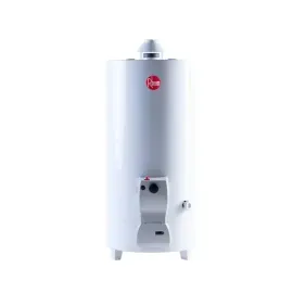 Termotanque Rheem multigas 80lts pie conexsup blanco tpg080gnrh