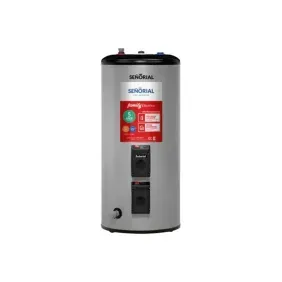 Termotanque Señorial family electrico 90lts apoyarcolgar conexinf y sup gris 330010