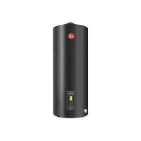 Termotanque Rheem electrico 125lts 2000w pie conexsup negro tep125rh