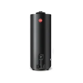 Termotanque Rheem multigas 120lts pie conexsup negro tgnp120rh
