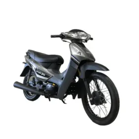 Moto Brava Nevada 125 2024