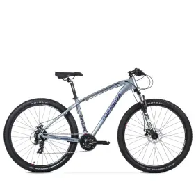 Bicicleta Mtb Topmega Thor R29 24V Aluminio Gris Violeta Negro